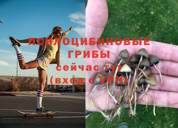 синтетический гашиш Белоозёрский