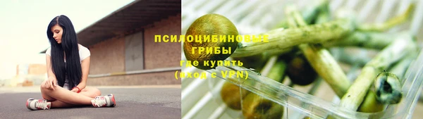 амф Беломорск