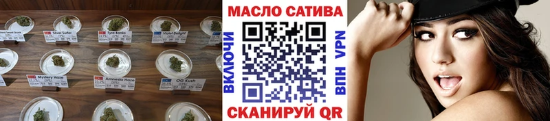 блэк спрут tor Невель Дистиллят ТГК вейп с тгк купить цена