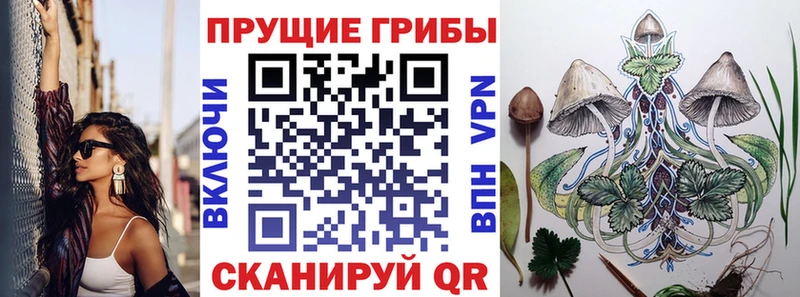 Псилоцибиновые грибы Cubensis  хочу наркоту  Невель 